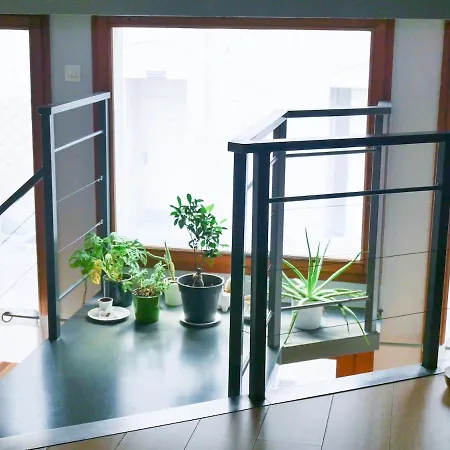 Historic Center Charming Duplex 5 Travelers 아파트